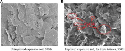 Experimental Study on the Influence of Microbial Content on Engineering Characteristics of Improved Expansive Soil